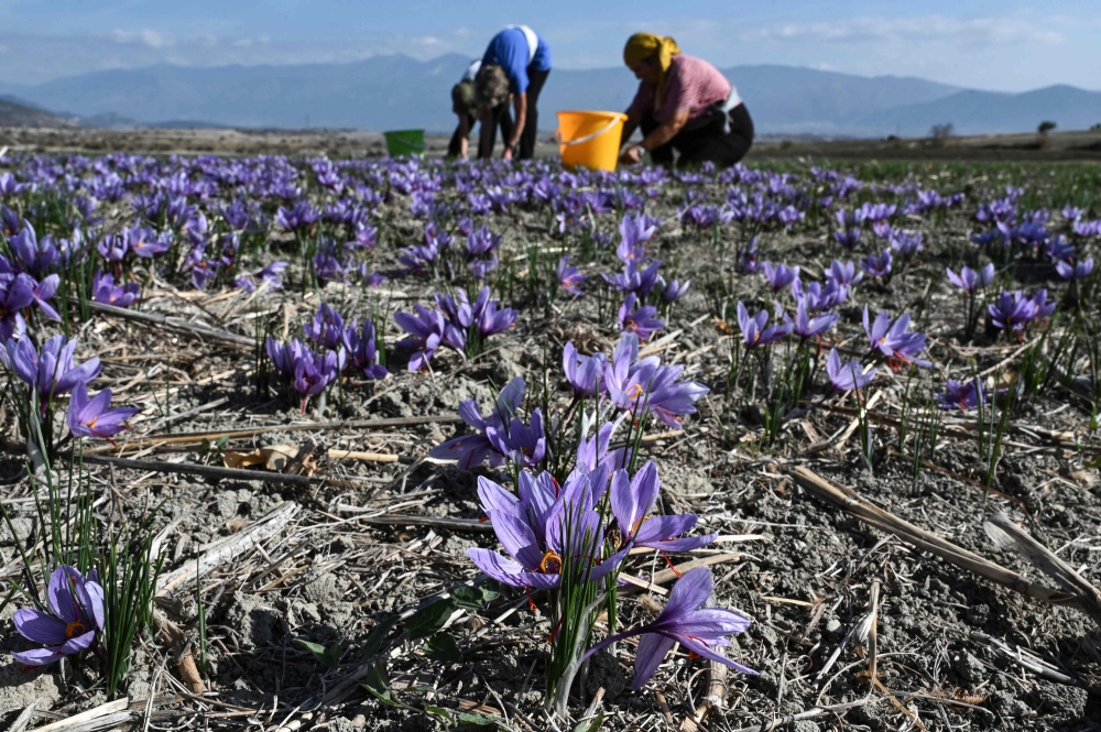 From heatwaves to disease: How climate change is reshaping global health threats