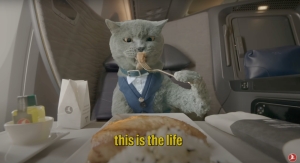 Purr-fect landing: Turkish Airlines’s quirky new video promotes its pet-friendly policies (VIDEO)