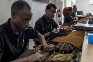 Africa’s best-kept secret: Mozambique rolls out 100pc homegrown premium cigars for the global market