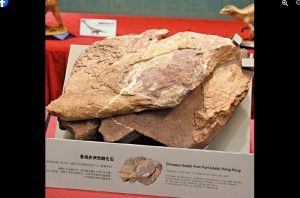 Prehistoric discovery: Dinosaur fossils unearthed for the first time in Hong Kong