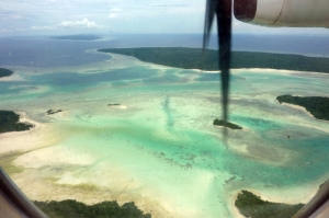 Biodiversity at stake: Fossil fuel expansion endangers ‘Amazon of the seas’ Coral Triangle in Indo-Pacific, home to millions, says report