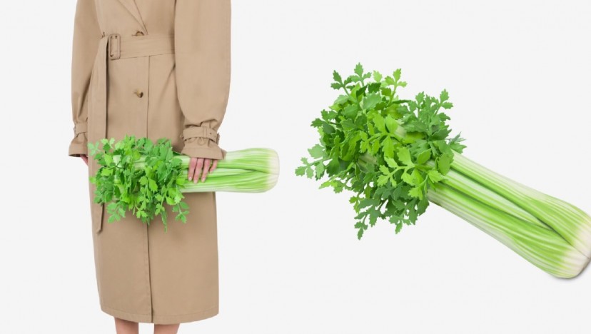 Moschino's $6,000 bag looks like a giant stalk of celery