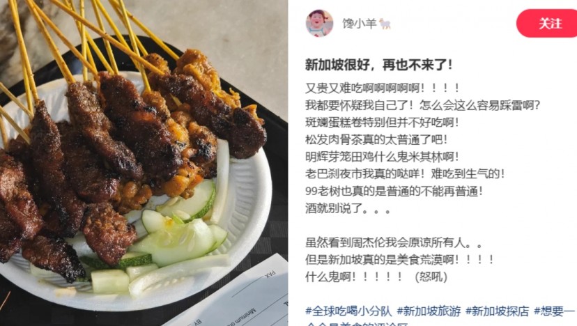 'Expensive and tastes bad': Chinese tourist complains about bad food experiences in Singapore