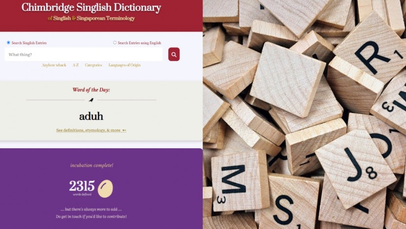 Steady lah: Reddit user creates online Singlish dictionary with over 2,000 terms