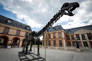 Skeleton of 150-million-year-old apatosaurus ‘Vulcan’ sold in Paris for RM28.6m, set to be displayed in museum