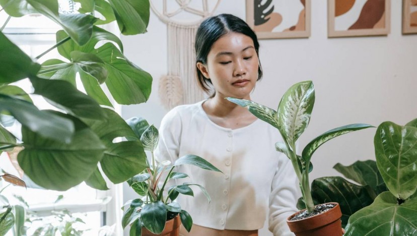 Potted plant parenting: How to survive being your tween's emotional decor