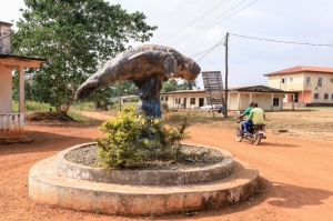 Battling poachers and pollution: The fight to save Africa’s elusive manatees in Cameroon