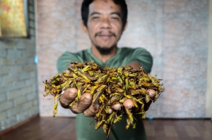 From grass to grasshoppers: Grasscutter’s unique side hustle brings in RM700 monthly