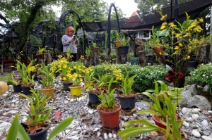 Hidden gem in Seremban: Taman Orkid serves up serenity and vibrant blooms