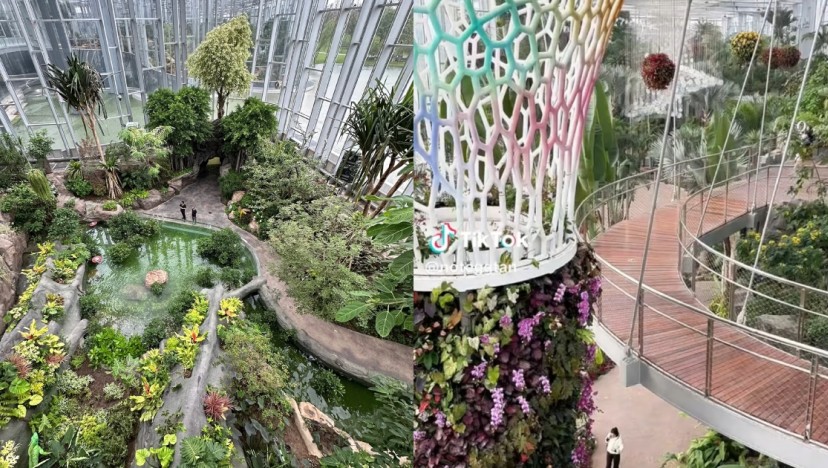 'Wait, this isn't Gardens by the Bay?' Shanghai's new plant dome leaves netizens surprised and puzzled