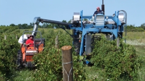 Paraquat and Parkinson’s: Herbicide faces intense scrutiny in US amid health fears