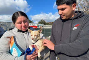 Happy families: Feared lost forever, pets and owners separated by LA fires, reunite 